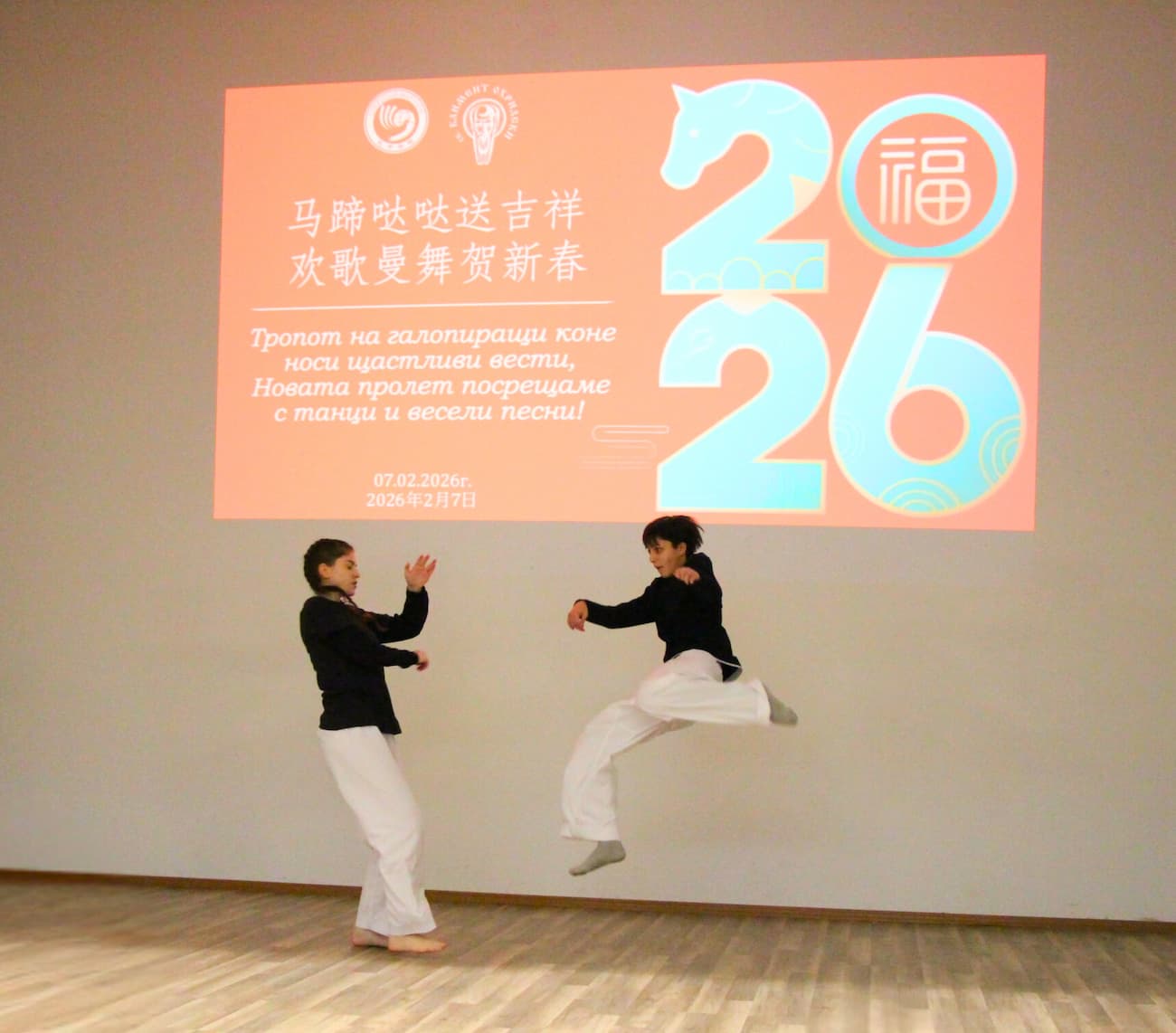 Photo 9: Martial arts performance